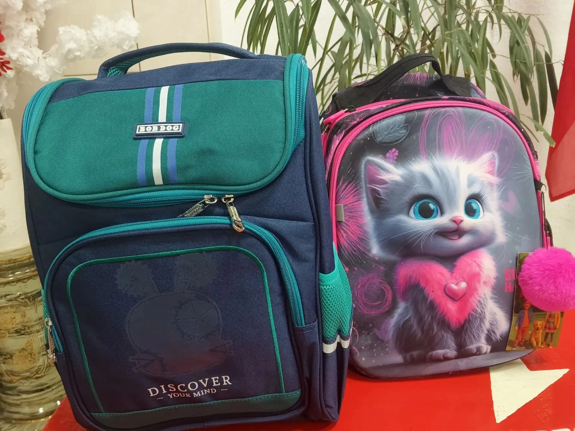 🎒✨ Подарок к 1 сентября!