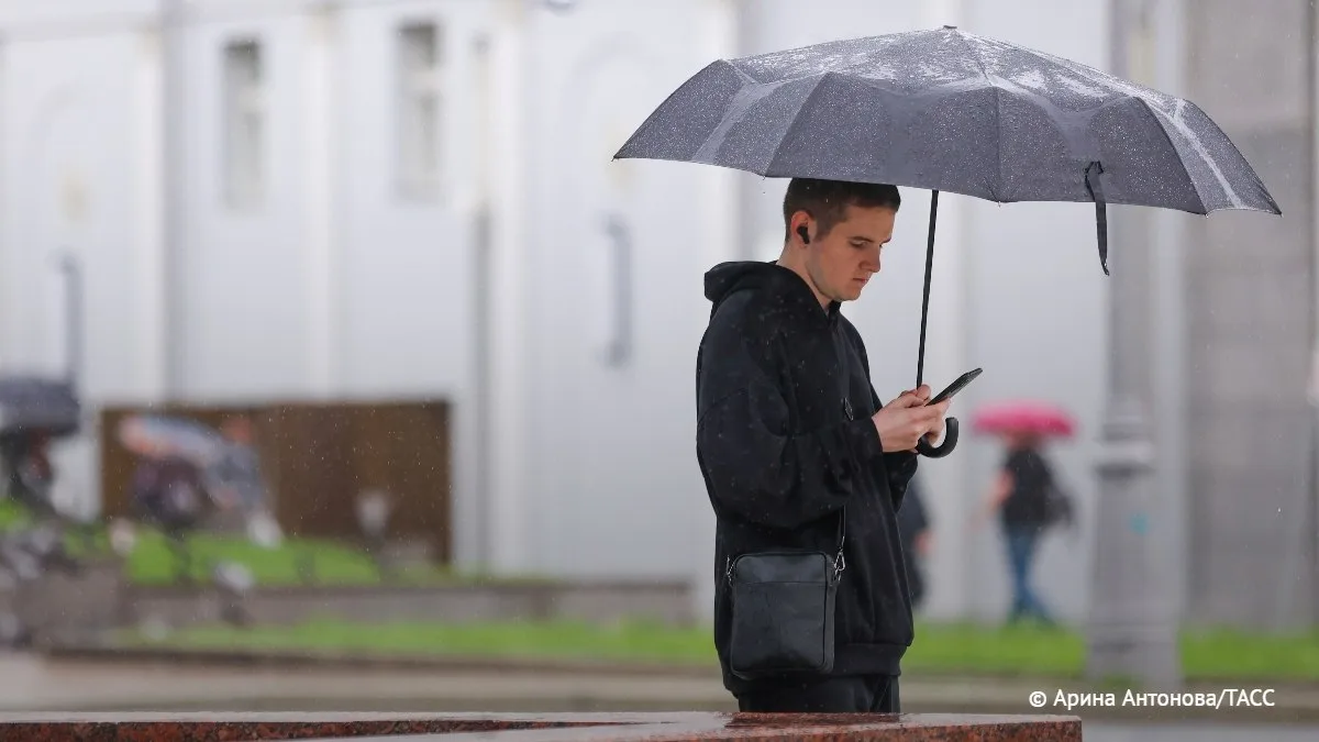 Желтый уровень опасности объявлен в Московском регионе из-за прогнозируемой грозы, сообщили ТАСС в Г