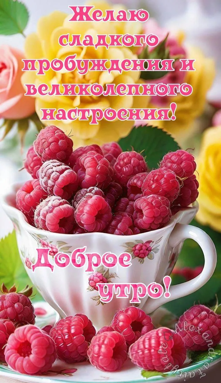 Галерея Открыток