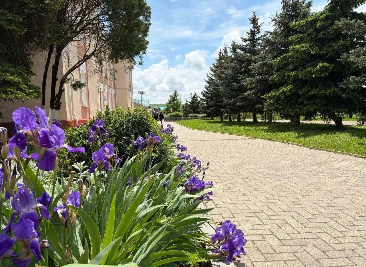 Доброе утро, дорогие подписчики! ☀️ Пусть этот день будет добрым к вам: солнечным, тёплым и наполнен