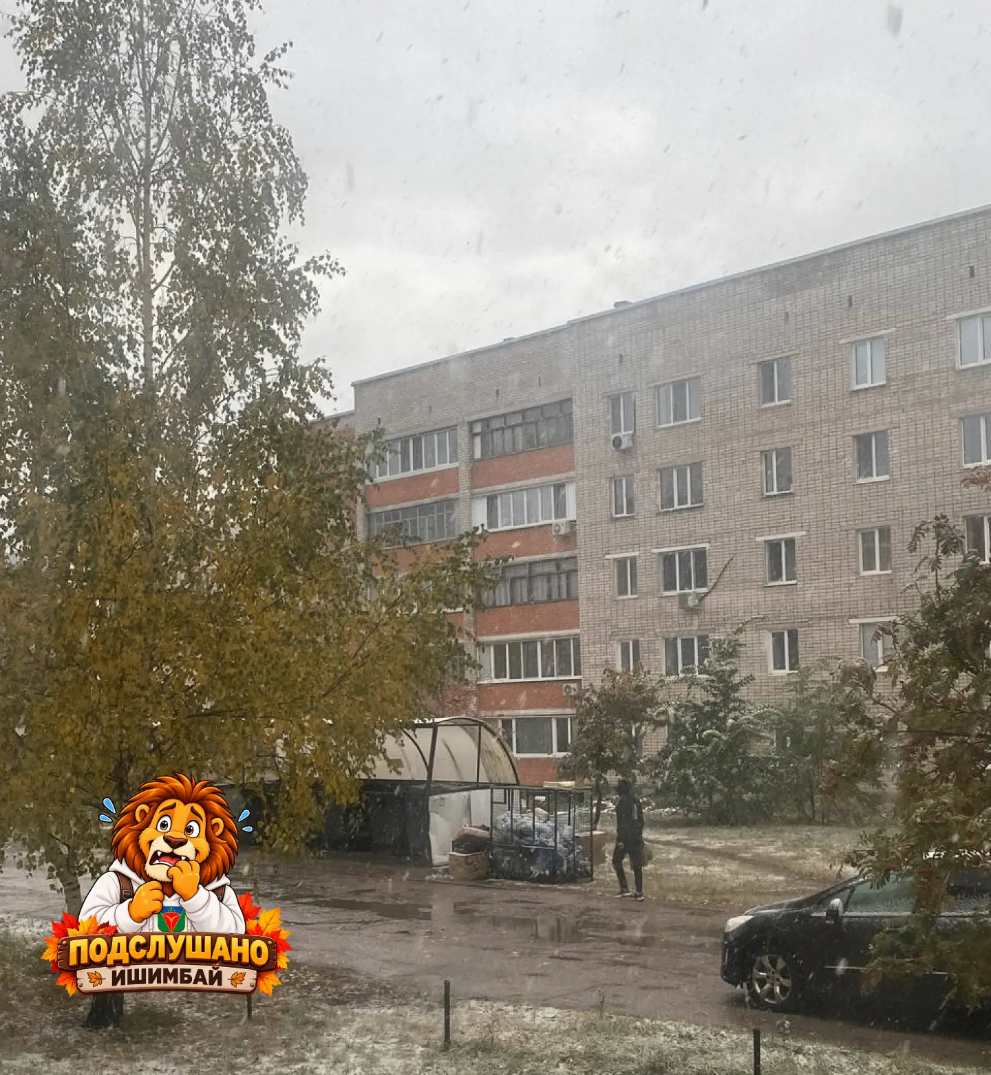 С первым снегом получается.