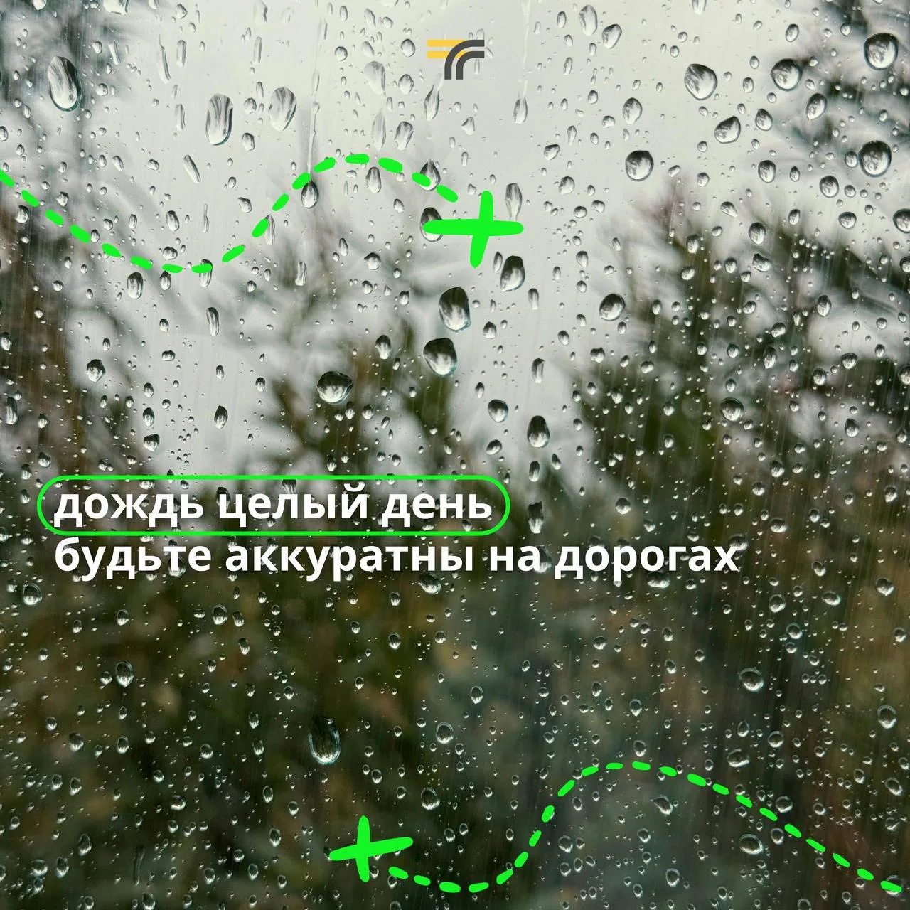 🌧 В Московском регионе сегодня целый день будет идти дождь.