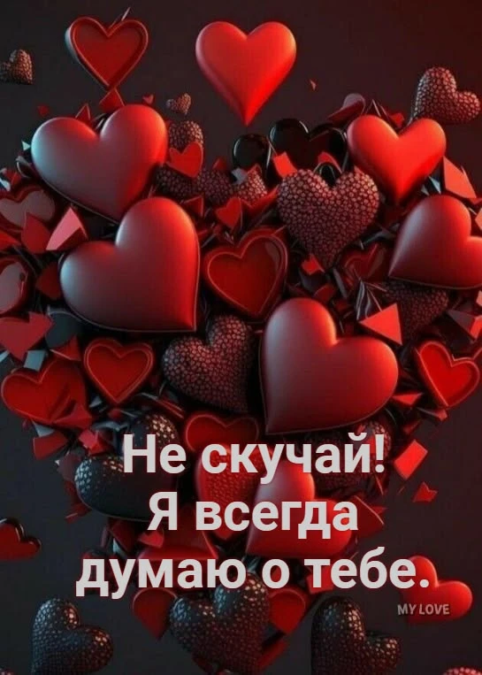 СОЛНЕЧНЫЕ ОТКРЫТКИ