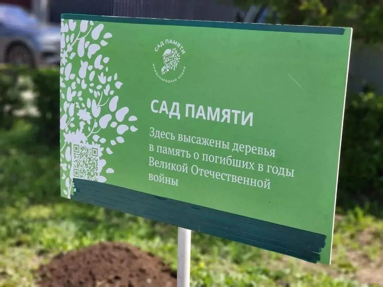 🌲 Оренбуржье вошло в число лидеров акции «Сад памяти»