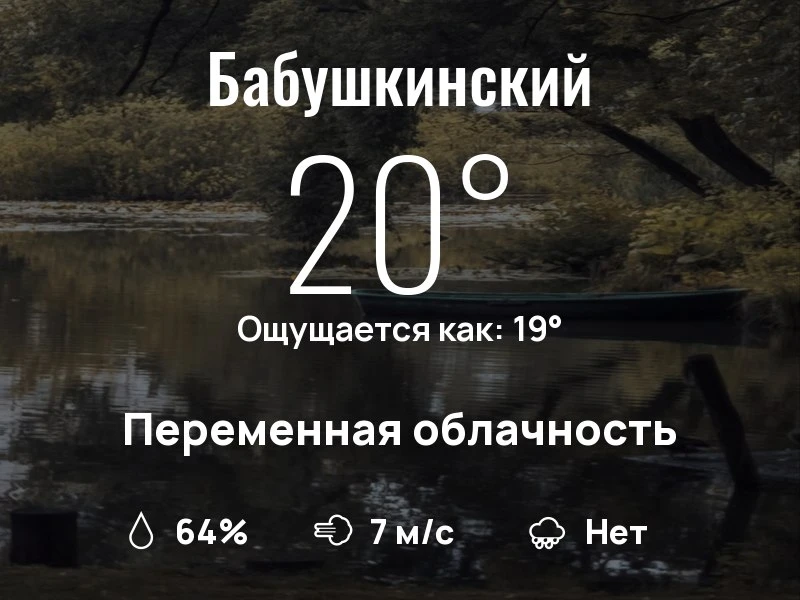 Что с погодой в Бабушкинском?