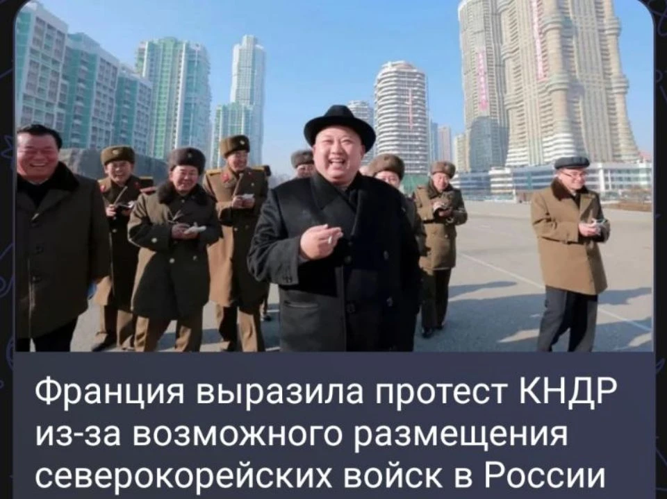 Лягушатников забыли спросить 😂
