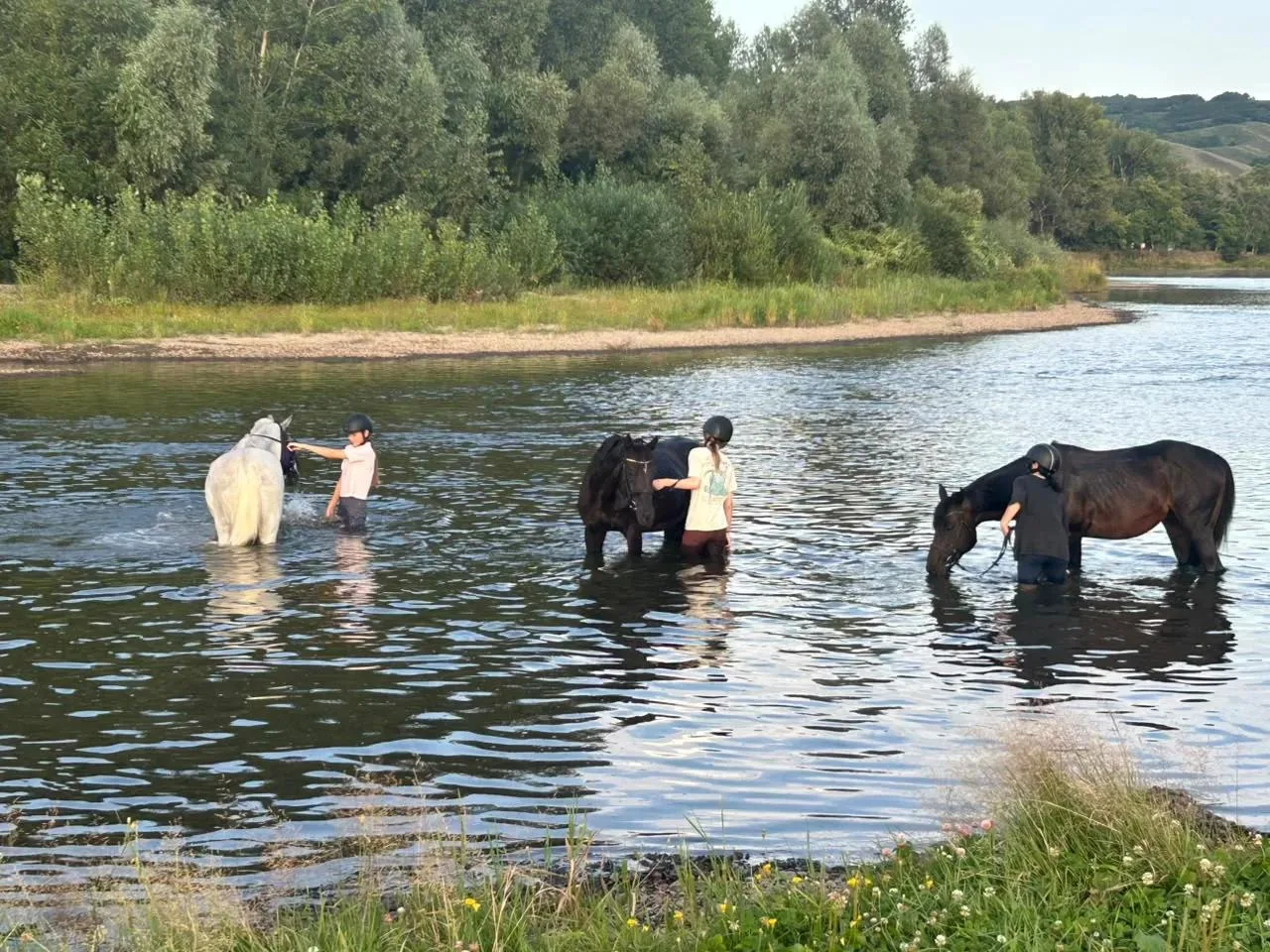 Когда за окном +25, а солнце ласкает кожу, даже лошади мечтают об одном — о прохладной ...