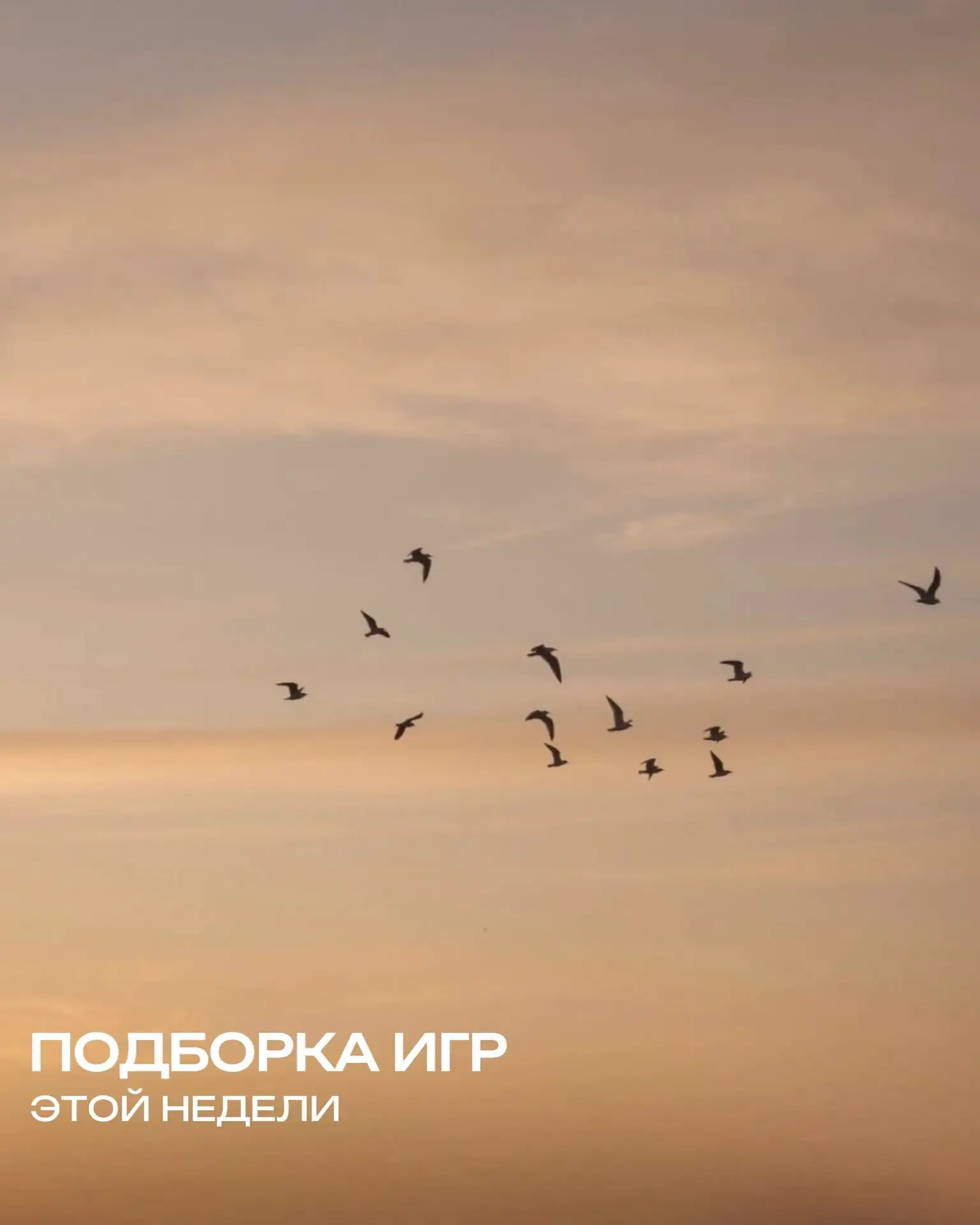 #АФИША_ПРООТДЫХ_ТЛТ