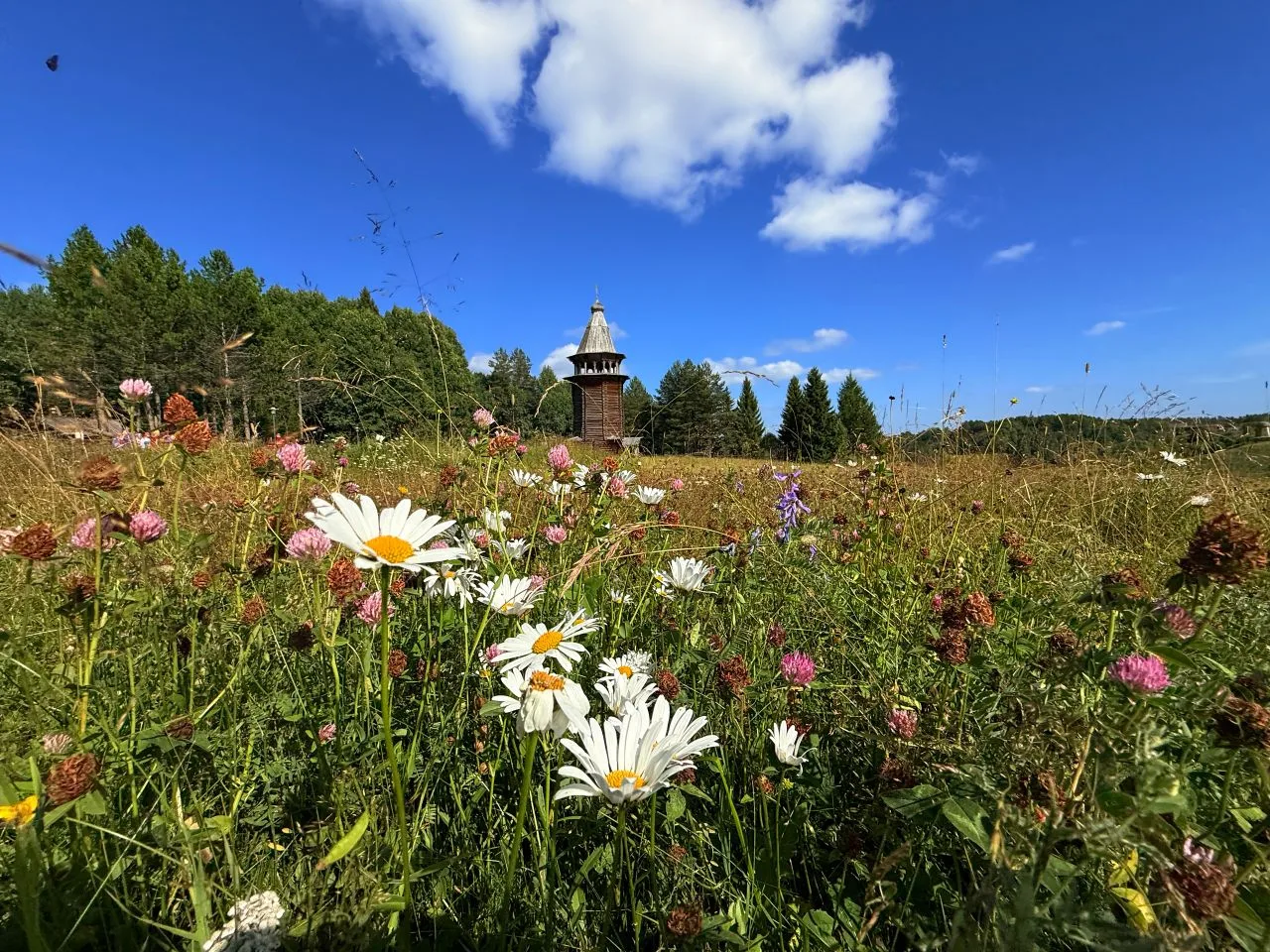 Лето в музее🌿 

Фото Кирилла Иодаса