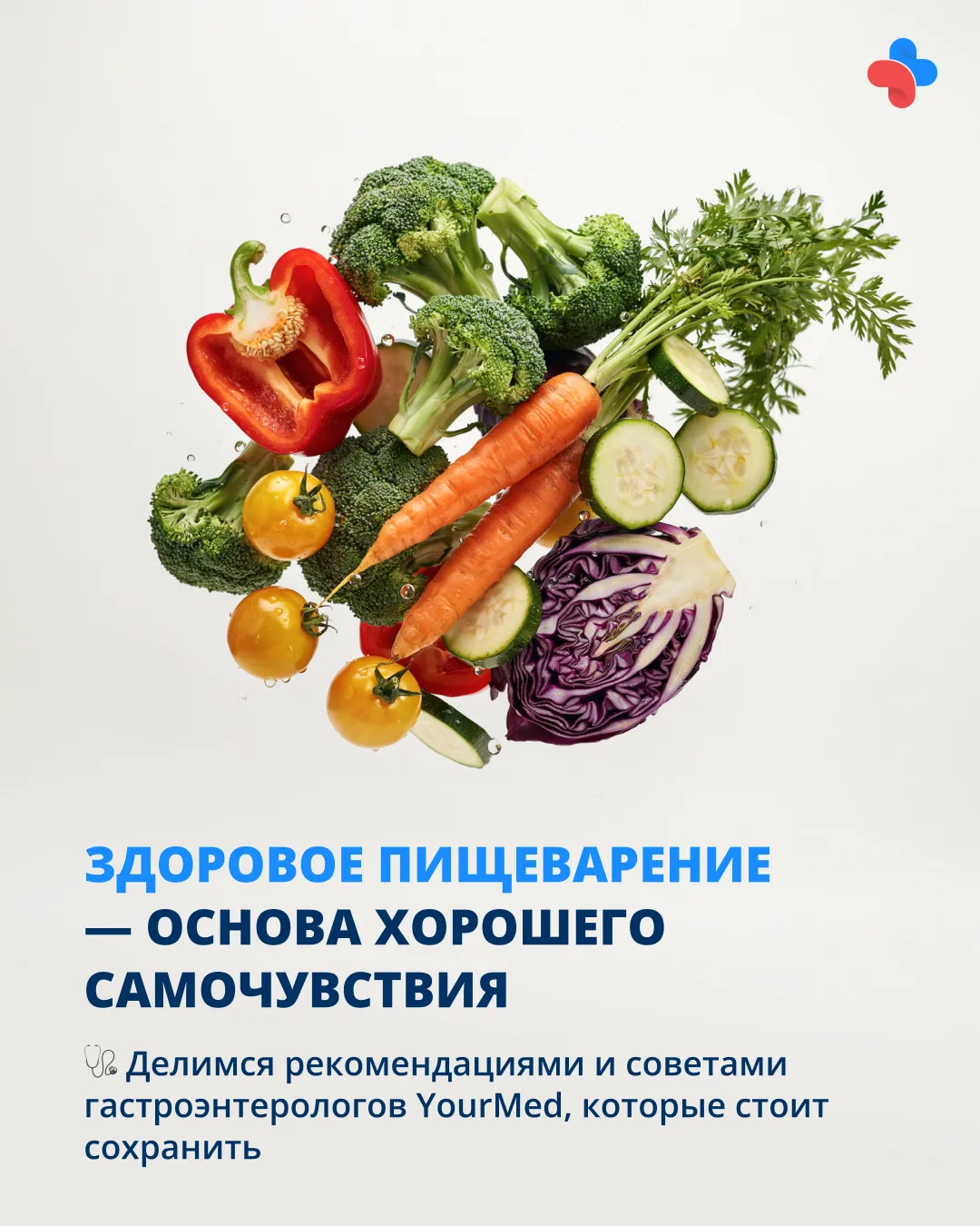 Здоровое пищеварение — основа хорошего самочувствия 💚