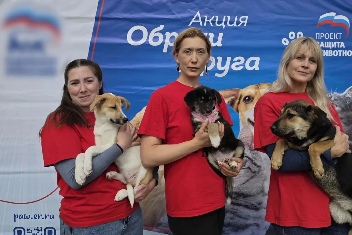🐕В Смоленске успешно прошла благотворительная выставка - раздача бездомных животных «О...
