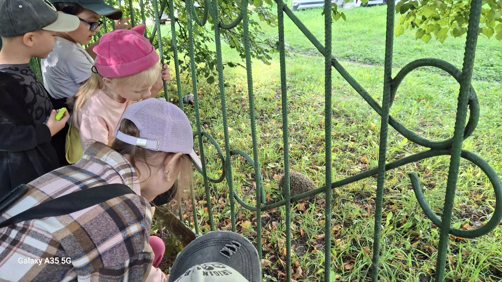 Сегодня на прогулке дети  увидели ёжика.🦔🦔🦔🍀 Встреча получилась неожиданной, но оче...