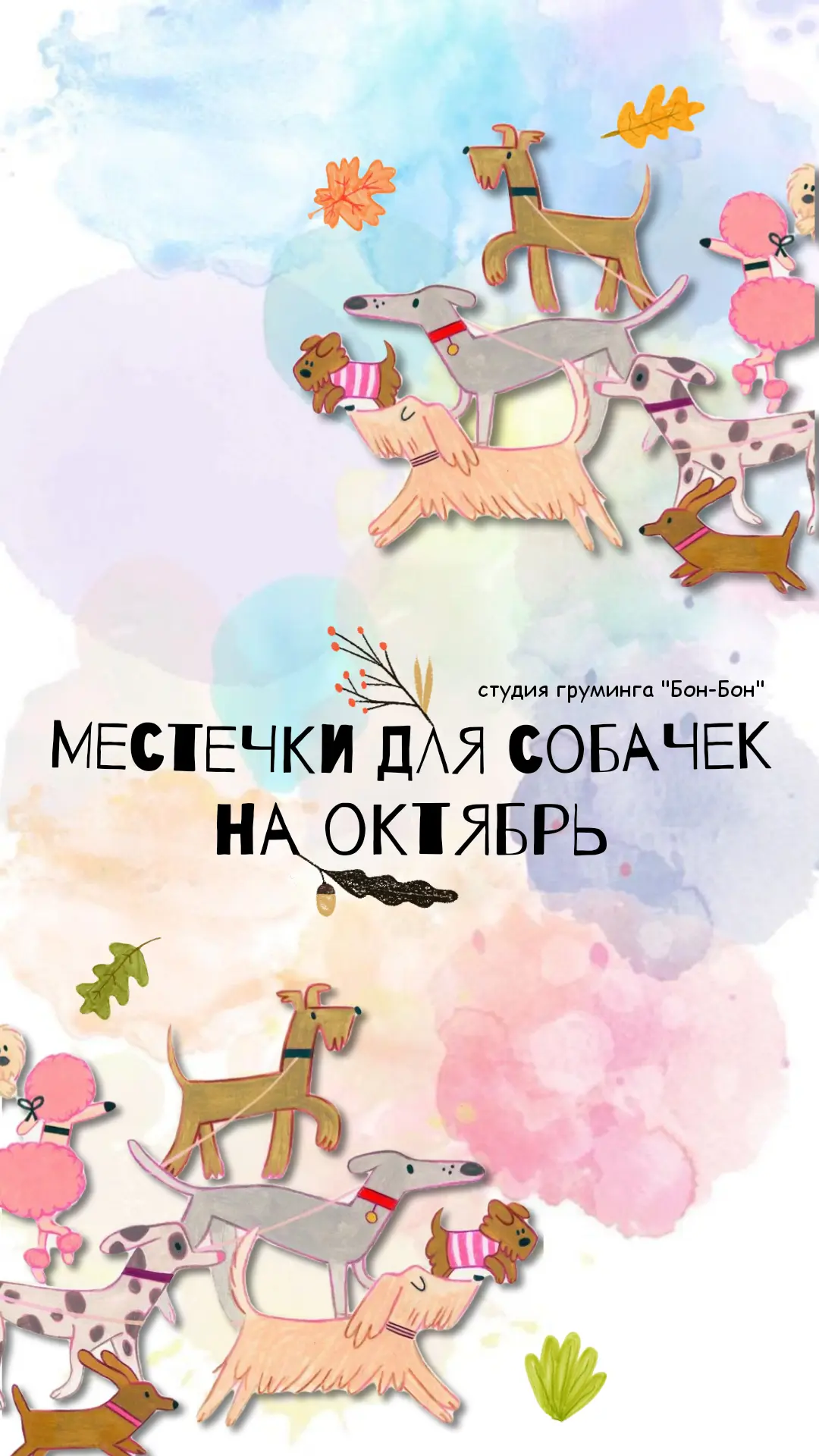 🧡🐾Местечки к Александре🐾🧡