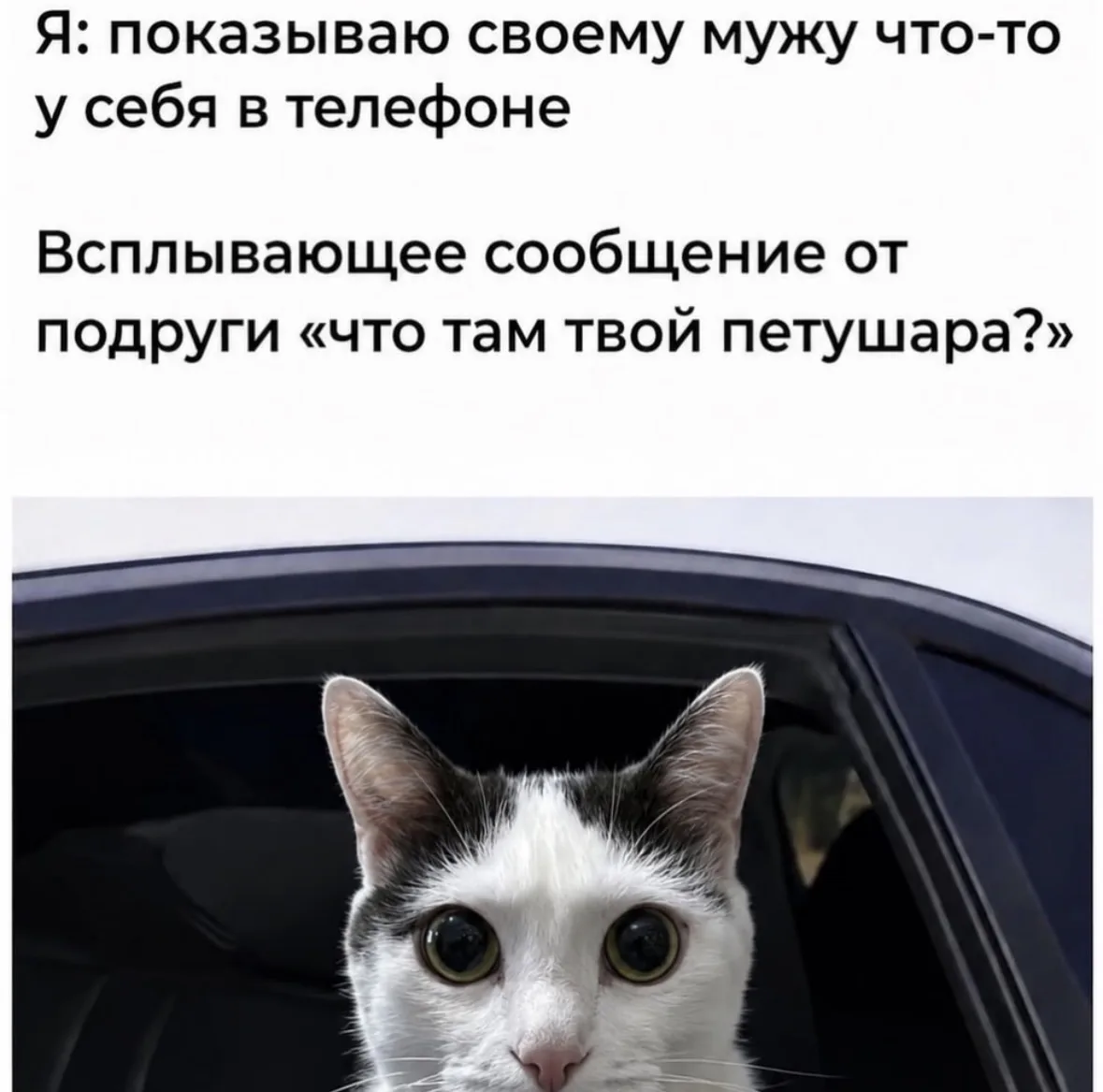 Неловко вышло