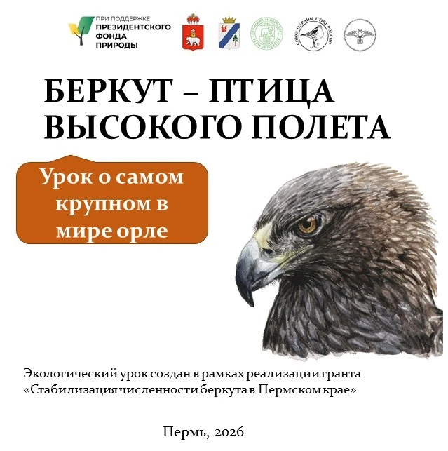 💥В Гайнском округе успешно завершилась апробация экологического урока «Беркут — птица ...