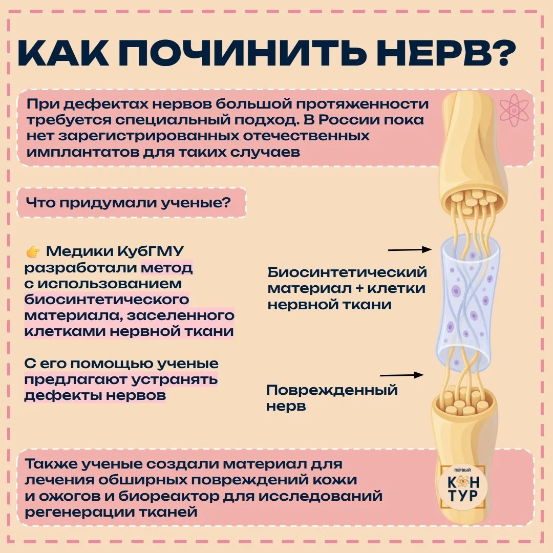 Нервы в ремонте 🧬