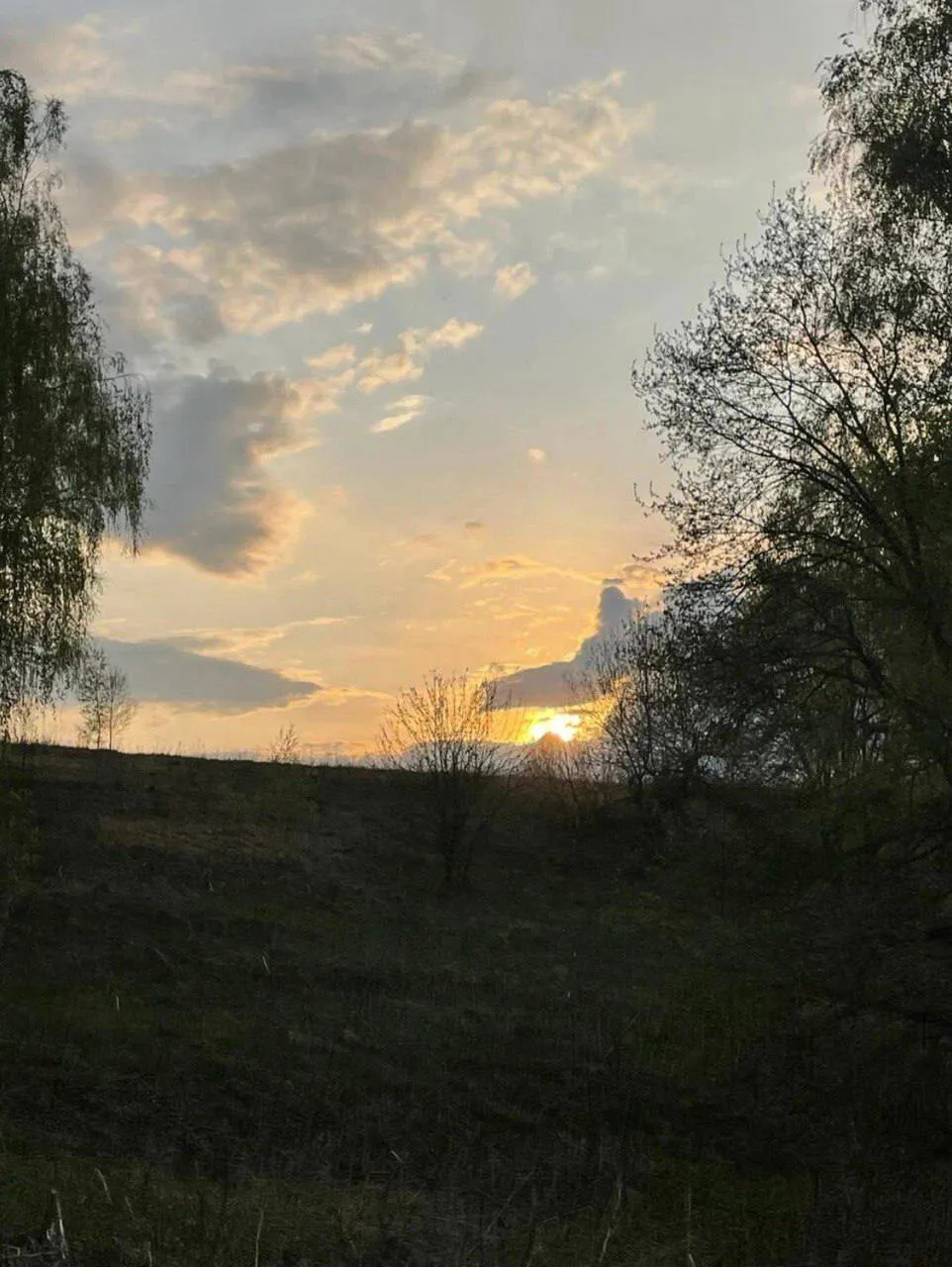 🌙 Доброй ночи, Тула!
