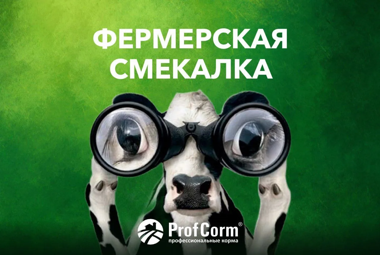 💡 Фермерская смекалка: способ пометить нужных коров в хедлоках