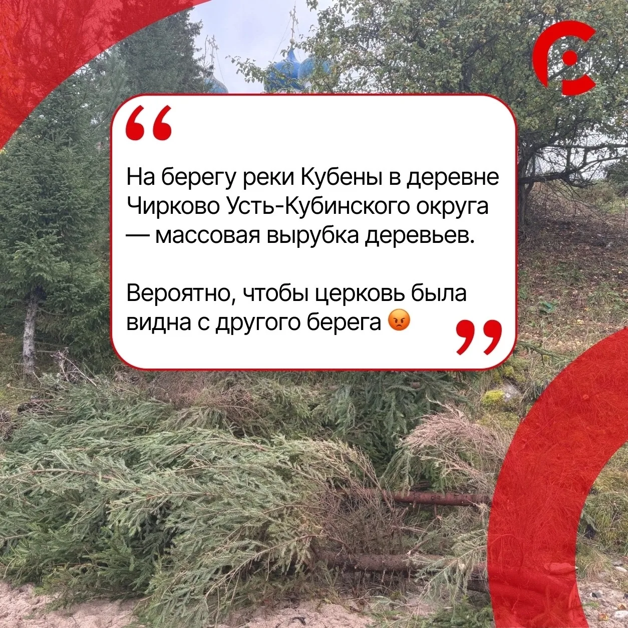 #КорниВологодчины
