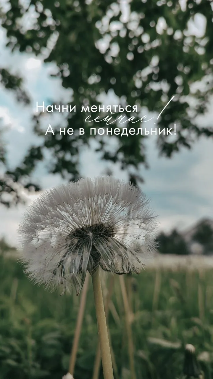 Минутка мотивации для вас ❤️