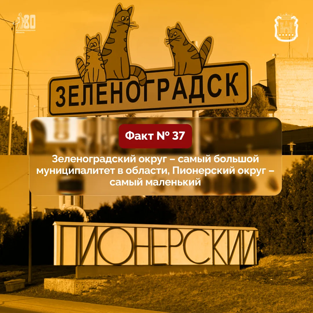 Самый большой по площади округ Калининградской области – Зеленоградский.