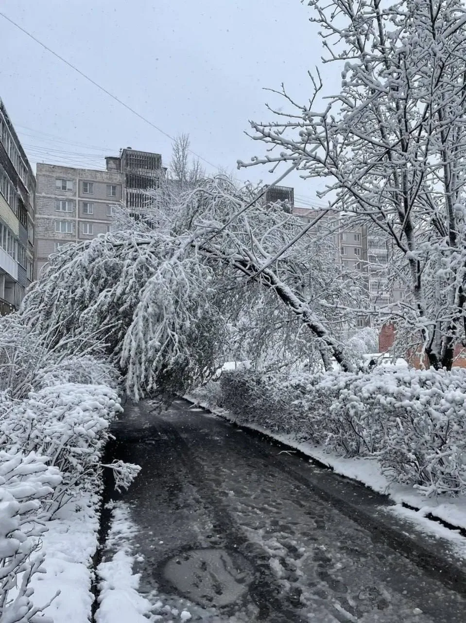 Москва сейчас   👉 Подписаться на канал