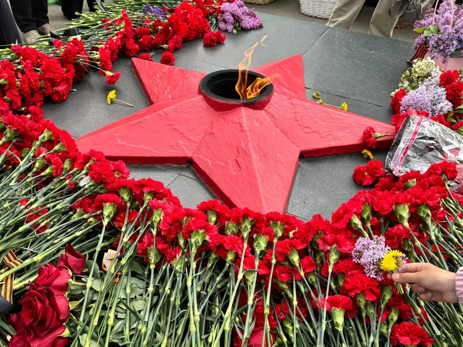 22 июня, в День памяти и скорби, вся страна вспоминает страшную дату начала Великой Отечественной во