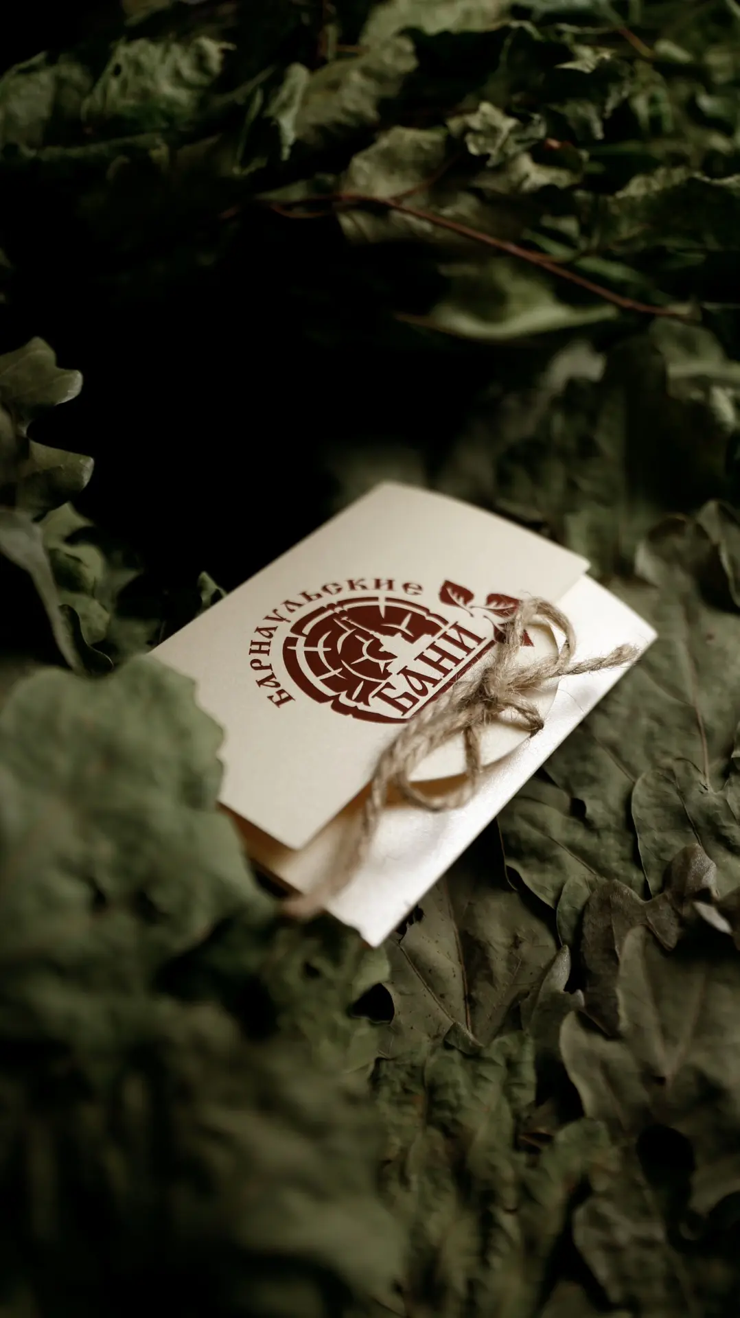 🌿 Пожелать здоровья — традиция.