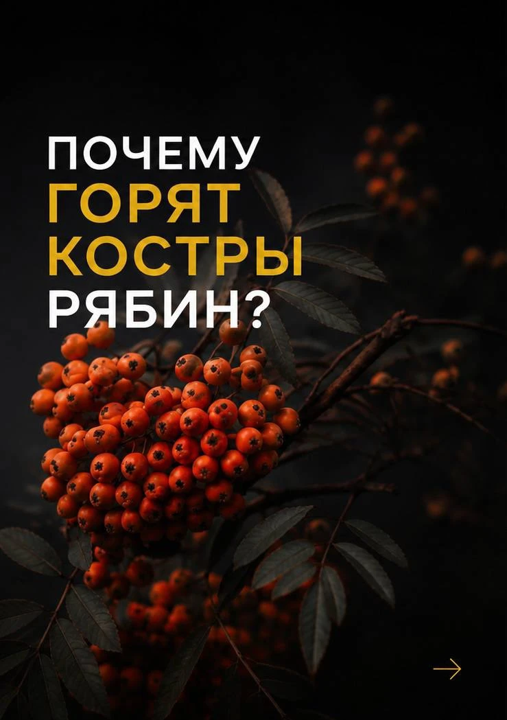 Мы долго думали, стоит ли делать пост про 3 сентября.