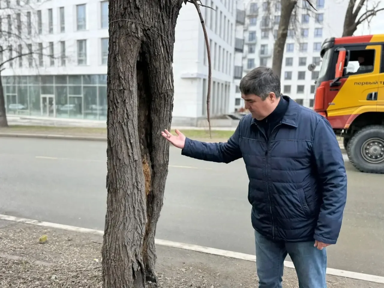 Сегодня провел утренний обход по участкам, где будем высаживать молодые крупномерные де...
