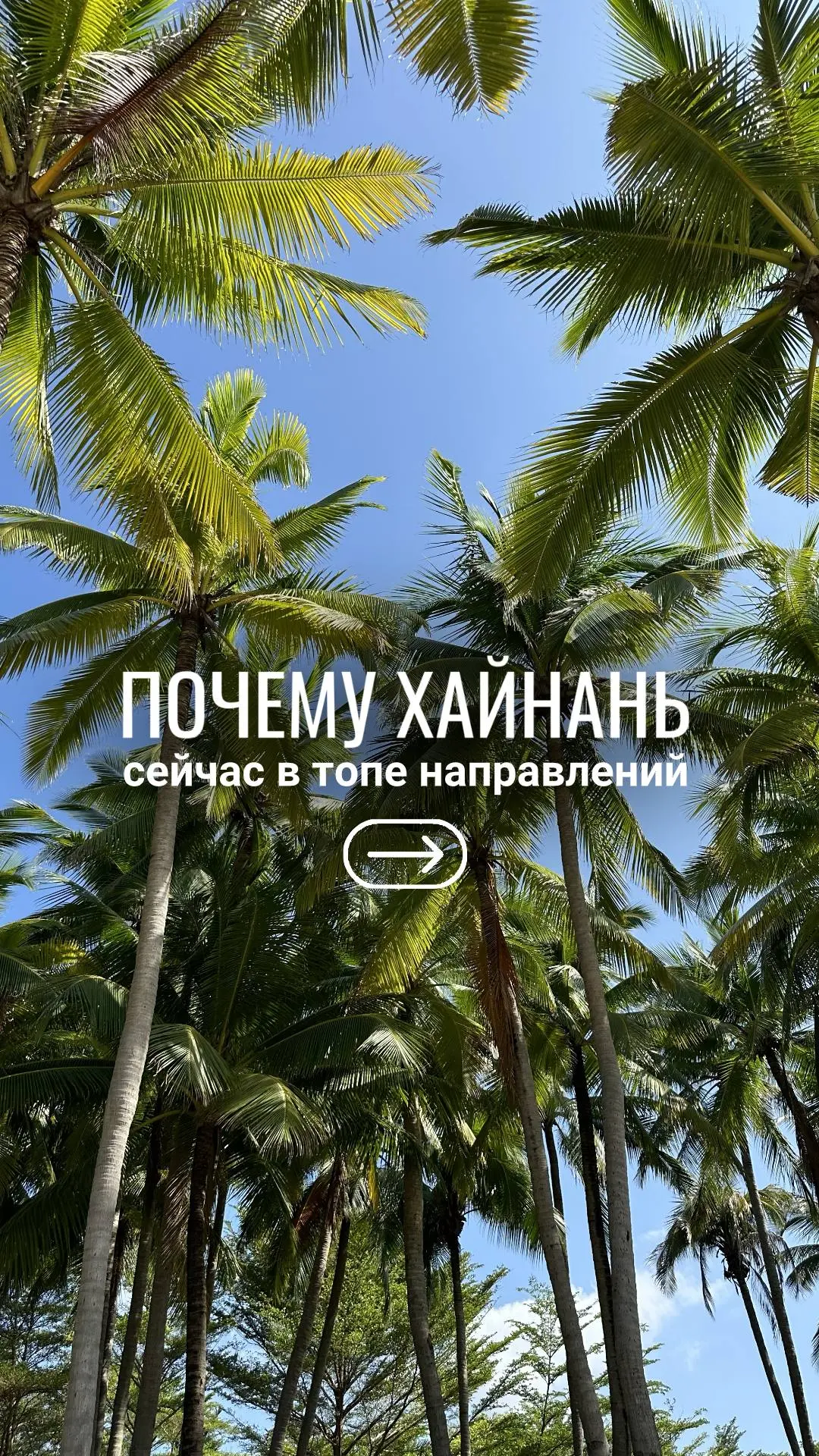 🇨🇳🏝️Хайнань сейчас в топе спроса!
