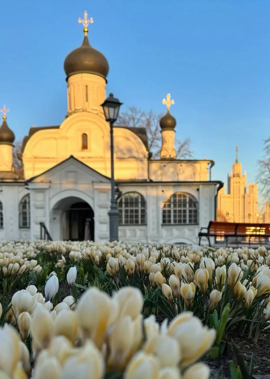 Первоцветы в парках столицы   В парках начинают распускаться первые красочные бутоны. Собрала места,
