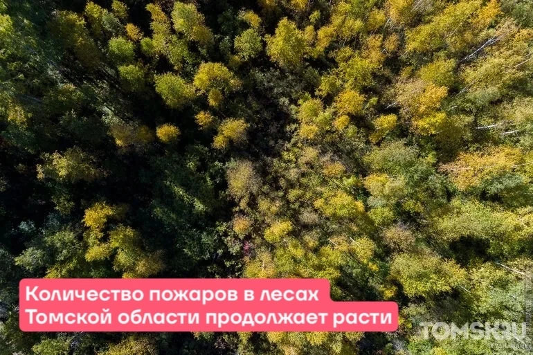 🔥 Пожаров все больше: в Томской области уже 34 действующих очага