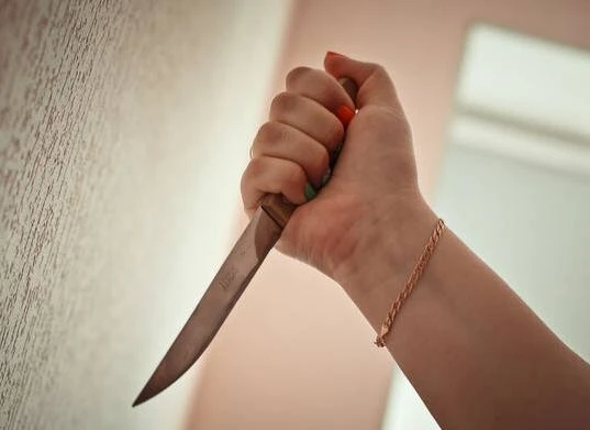 Жительница Ставрополья получила 8 лет колонии за убийство сожителя по его просьбе