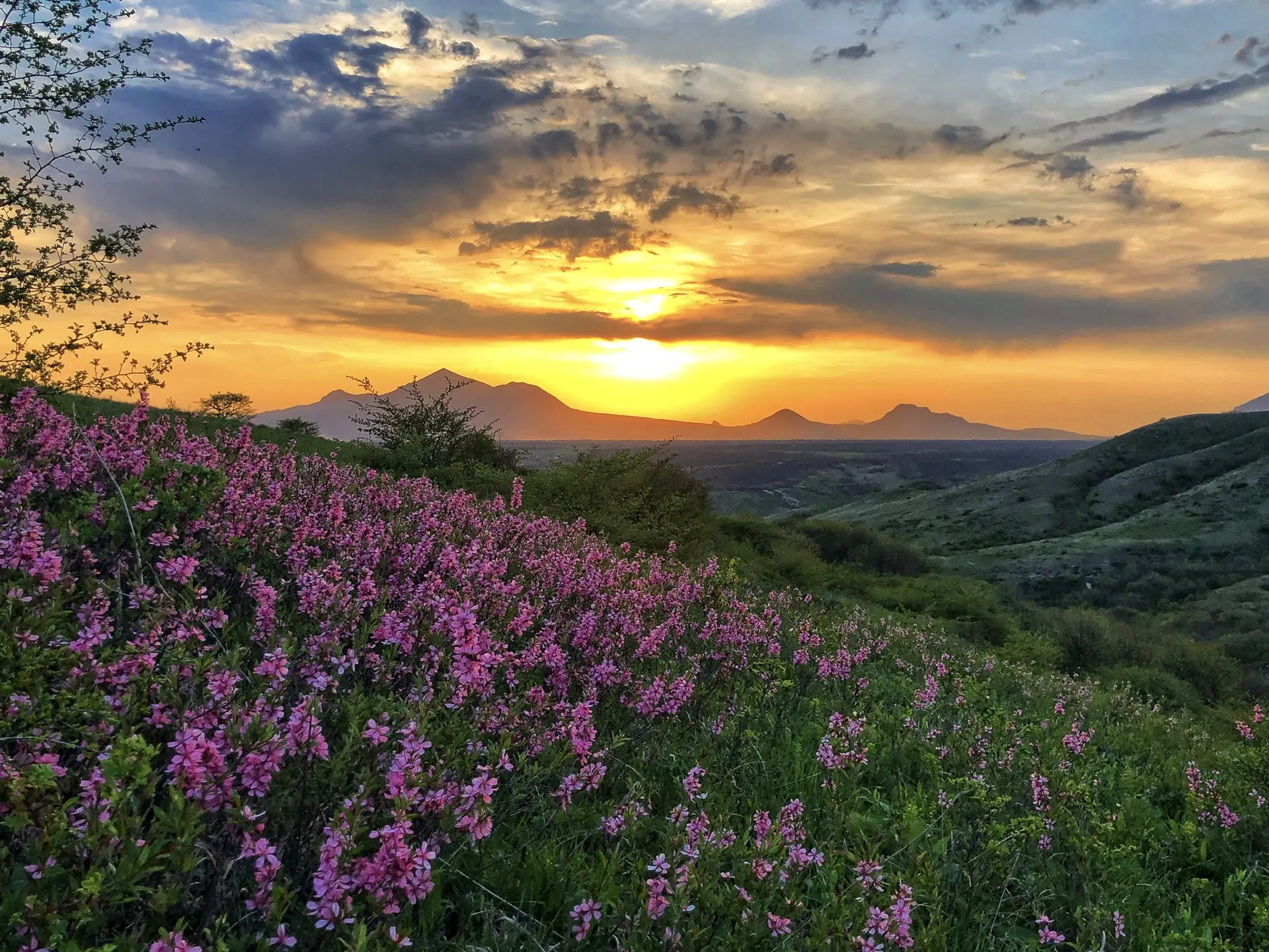 Запах весны 🌅🌸