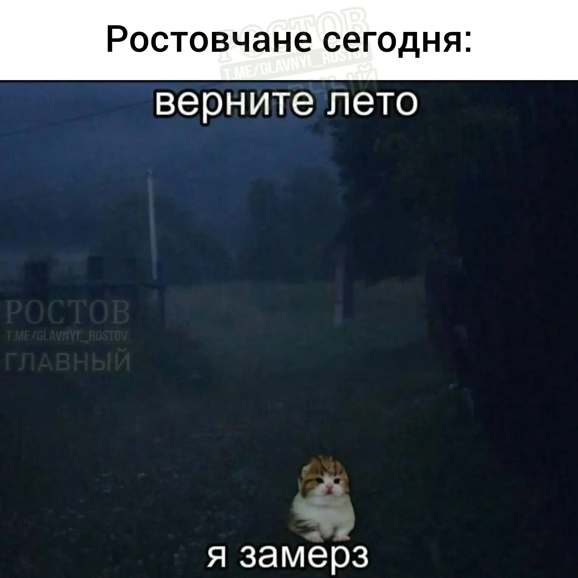 🥶 Мы?