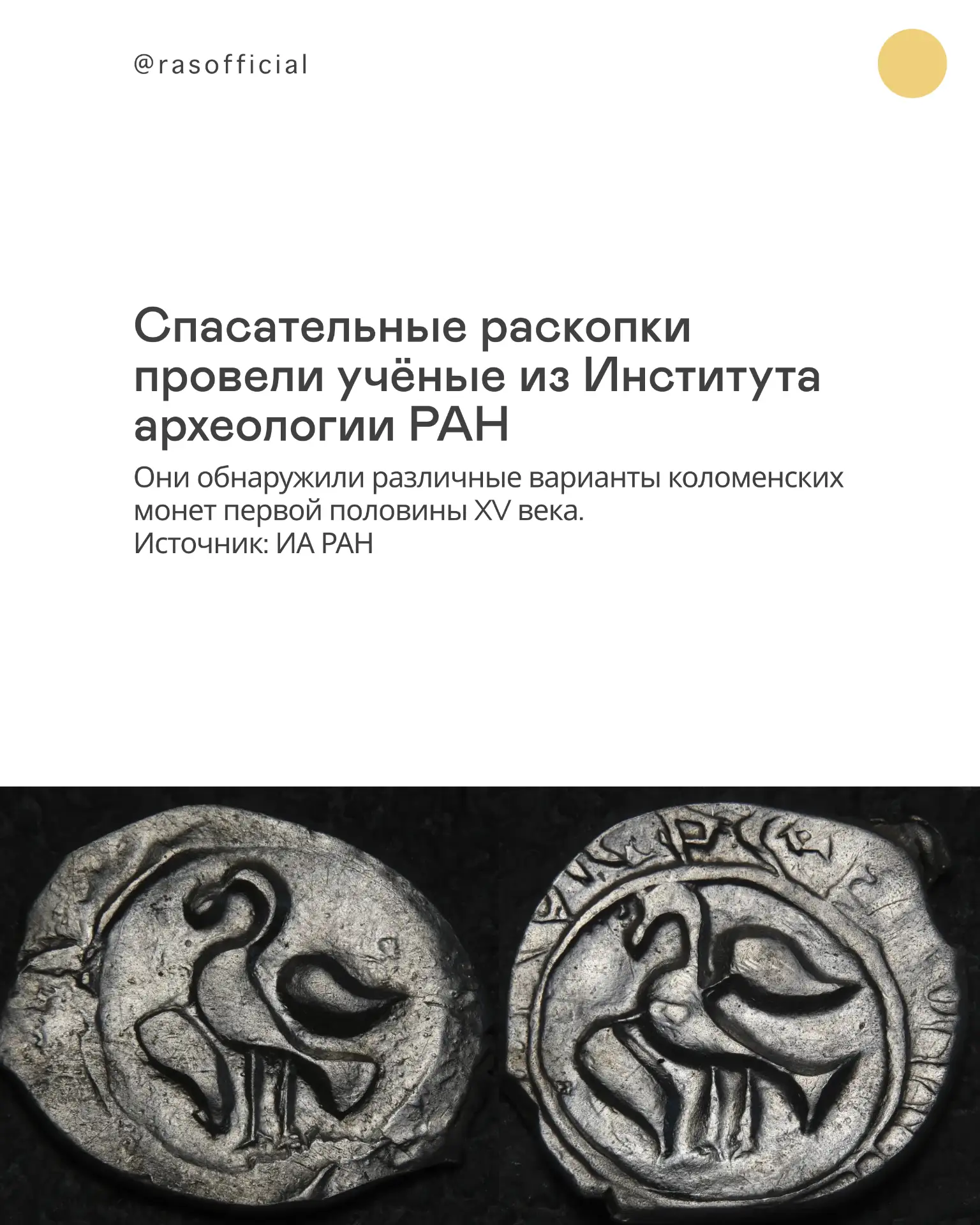 В Коломне нашли крупнейший клад русских монет двадцатых годов XV века