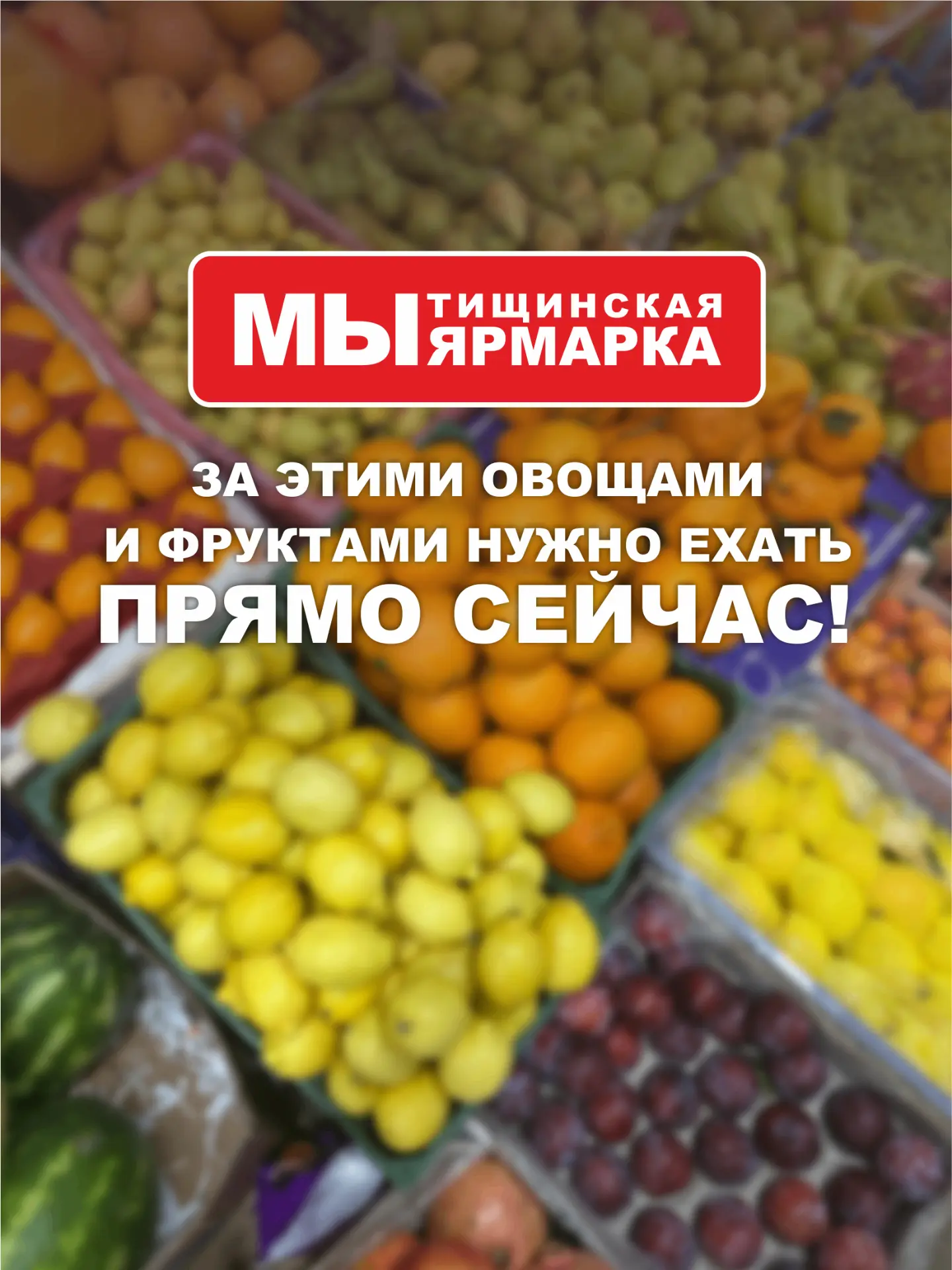 Подборка цен, после которых маршрут до магазина у дома перестаёт существовать.