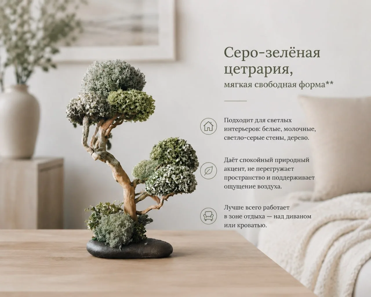 3 варианта панно из Цетрария исландская под разный интерьер.