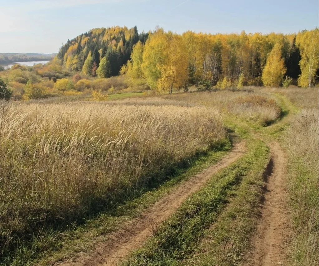 Доброе утро, Невель!
