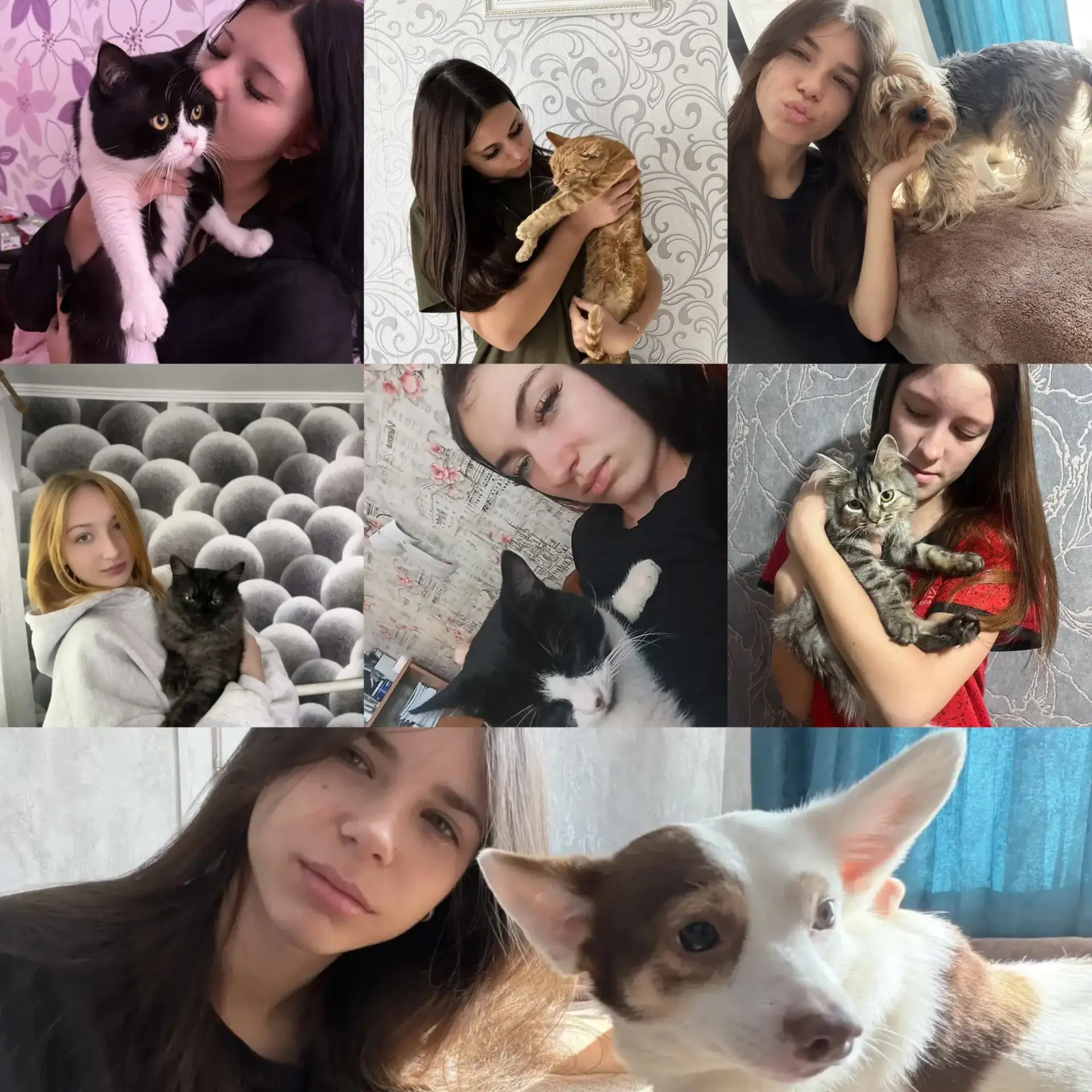 🐾 У них лапки, хвостики и огромное сердце!