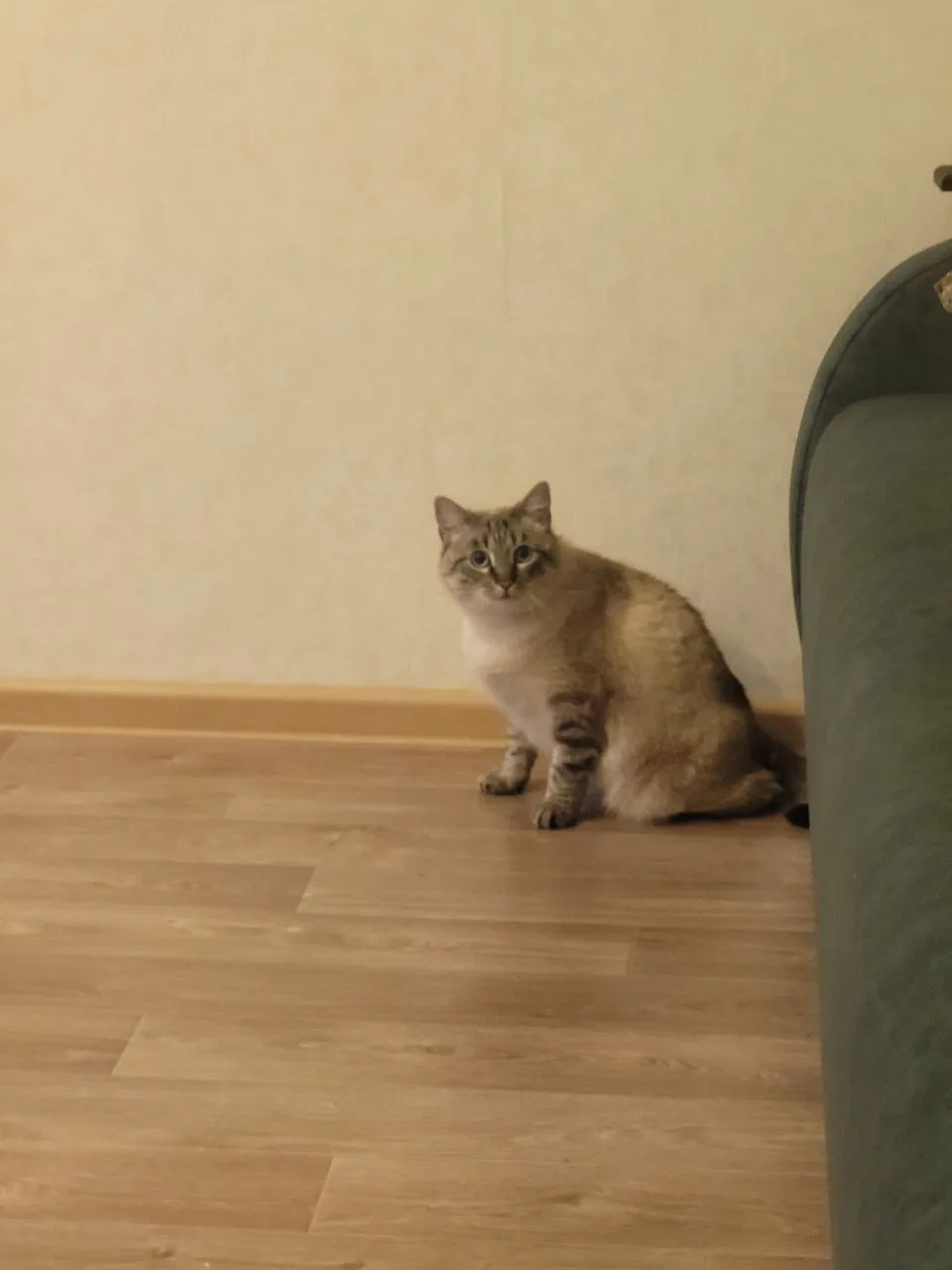 У нас просто невероятная новость, которой мы не можем не поделиться! Помните нашу Ясю и...