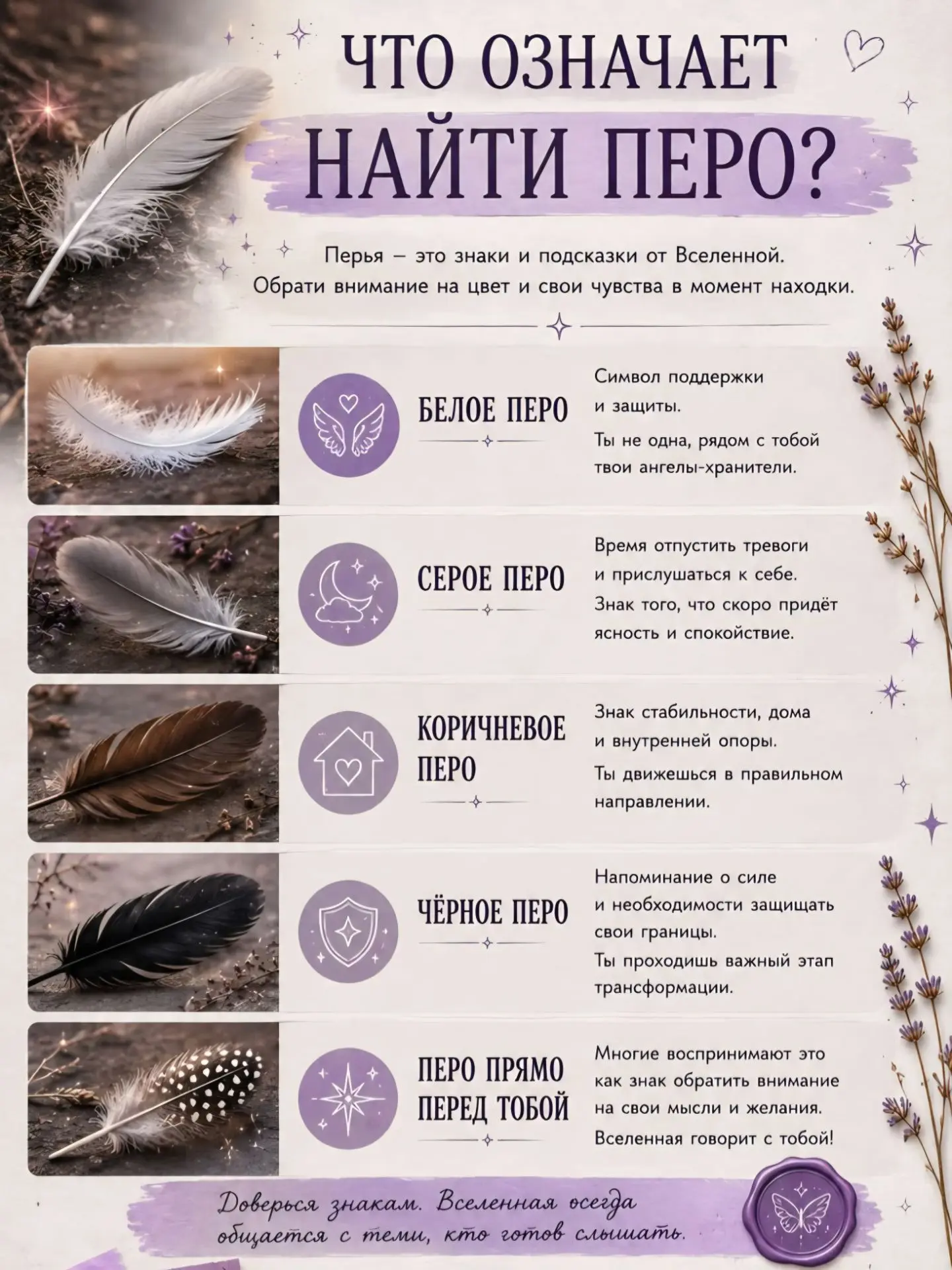 Замечаешь знаки Вселенной? Что значит, если ты нашла перо 🪶✨