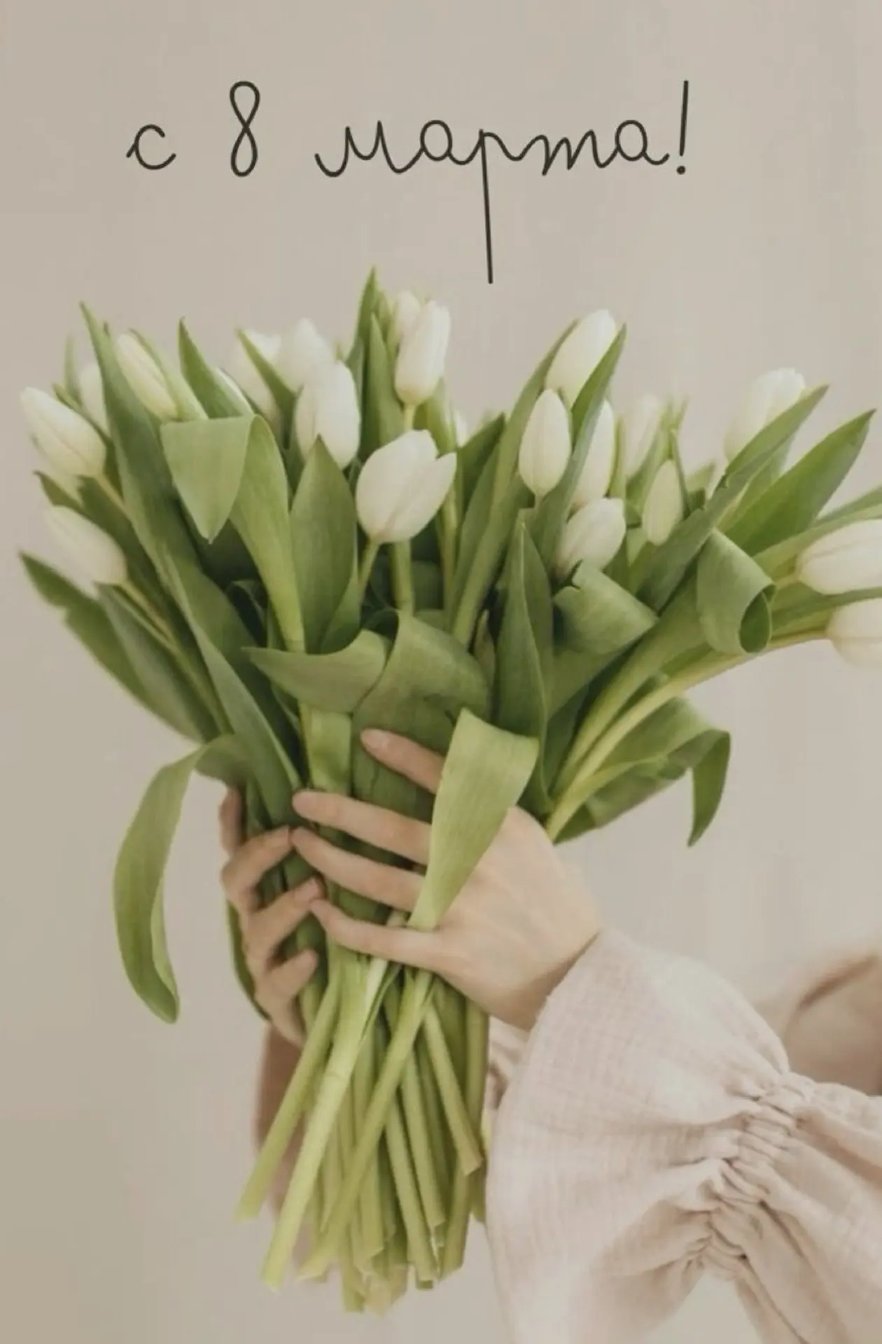 С 8 МАРТА, НАШИ ЛЮБИМЫЕ! 🌸✨  Дорогие девушки, девочки, мамы, бабушки, учителя, ученицы и выпускницы 