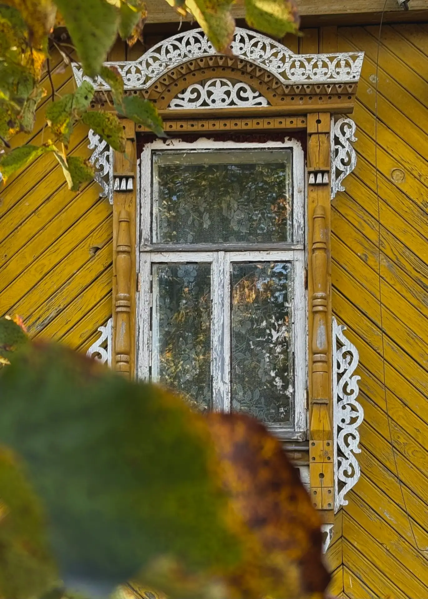 Бабье лето 🍂🍁