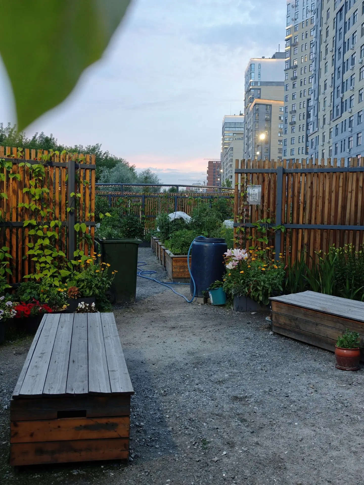 🧑‍🌾А вы знали, что в новых ЖК есть свои огороды?