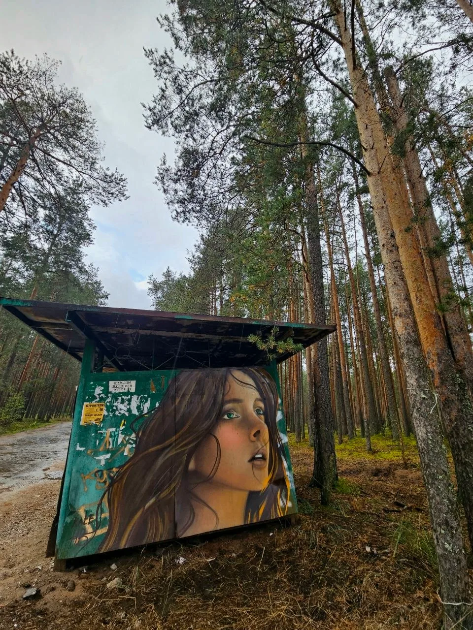Новая порция красоты🎨