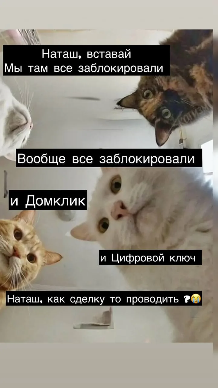 😭 С 12.00 ожидаем проведение сделки через Домклик.