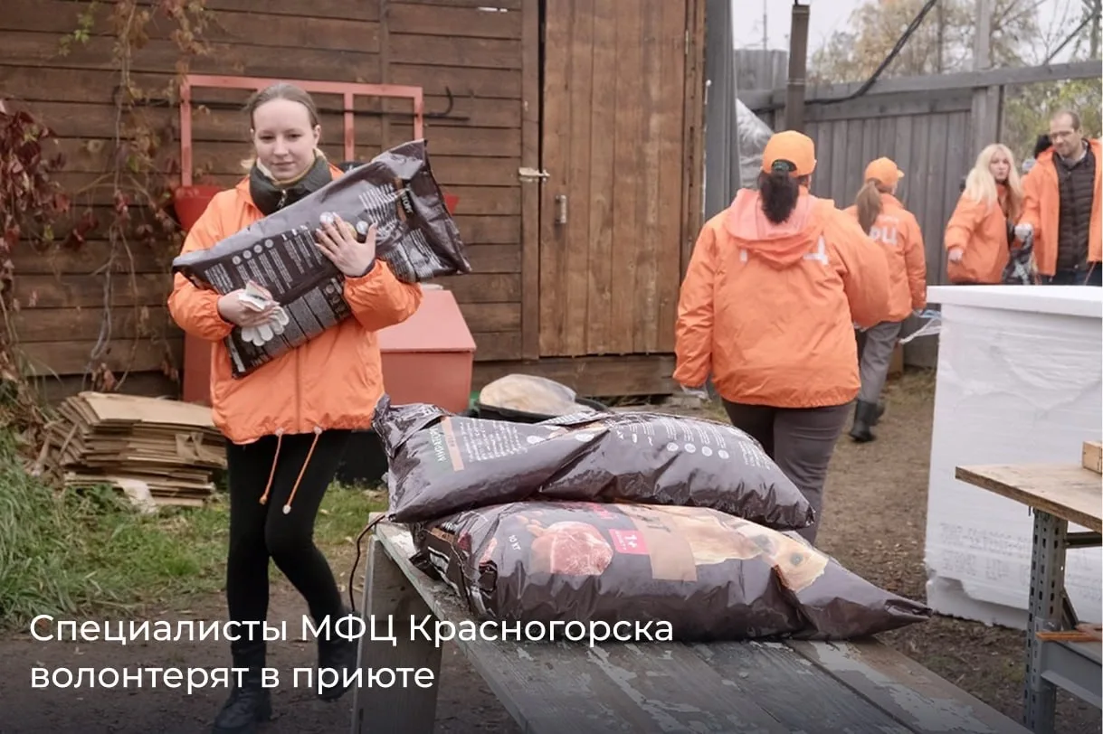 ❣️ МФЦ Московской области помогают не только людям  ☃️ Зима – настоящее испытание для бездомных живо