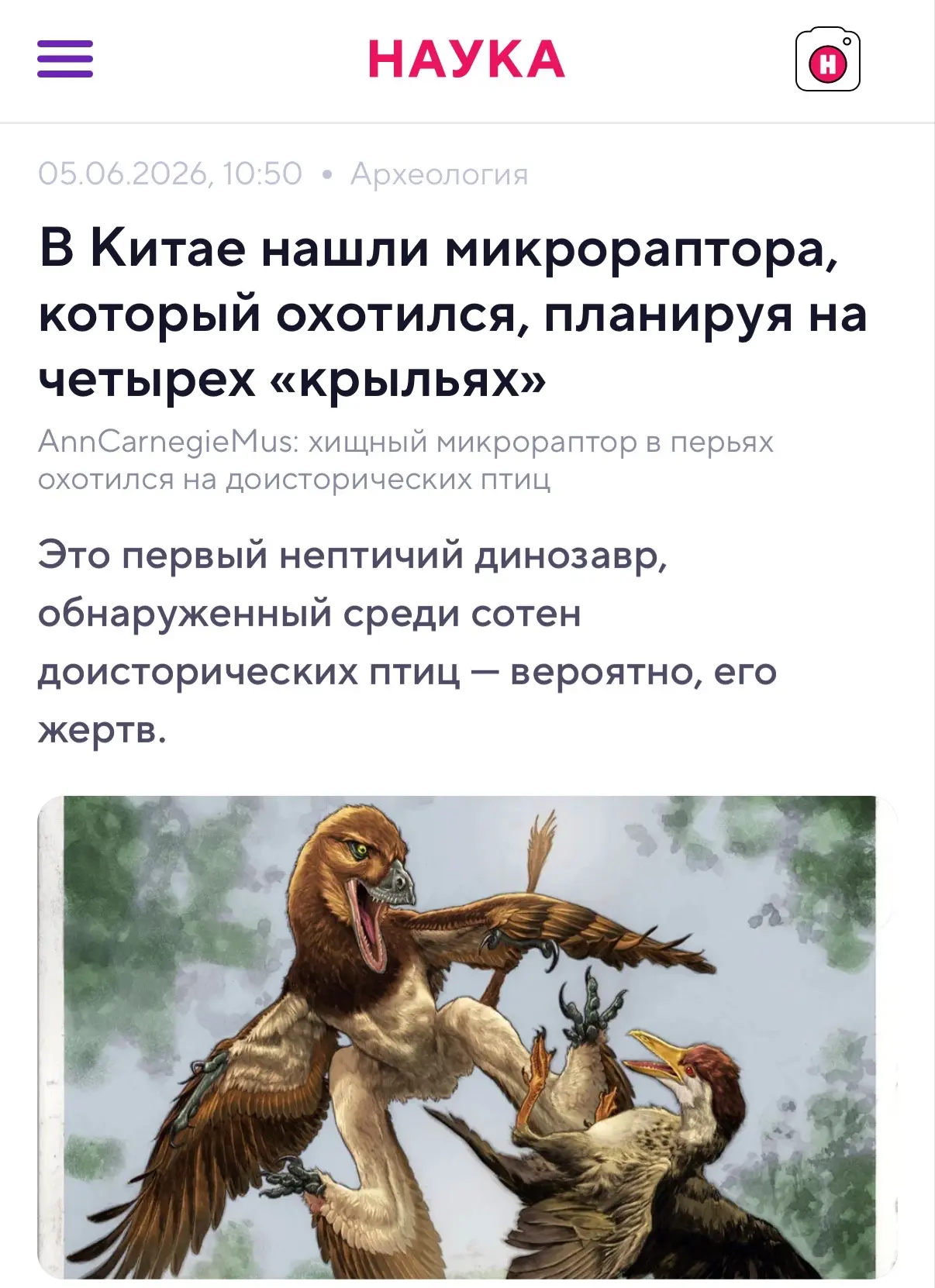 Только вдумайтесь — сотни тысяч книг, тонны диссертаций, десятки тысяч музейных экспона...